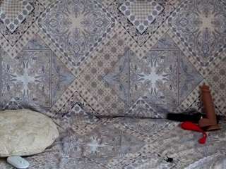 alenaexplorer webcam