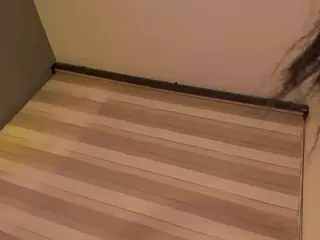 SheryLee's Live Sex Cam Show