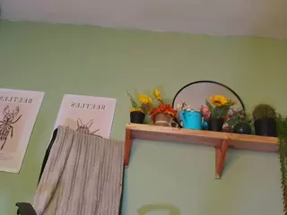 SheryLee's Live Sex Cam Show