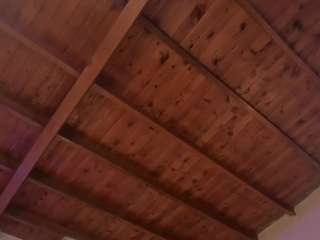 valerioledger webcam model