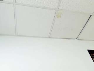 vanelin18 Live Webcam on CamSoda