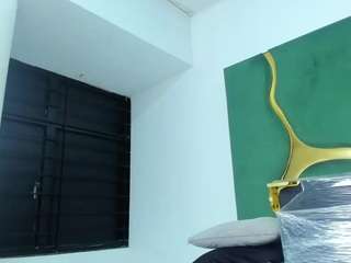 Vane live cam preview