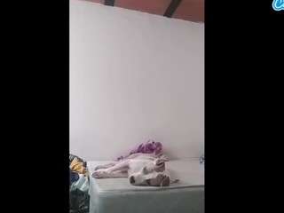 niniwild