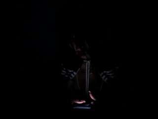 silvanacapellii webcam