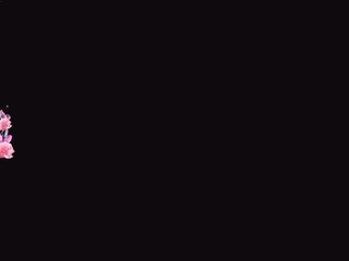 Latina, Hd, Teen (18+), Tease, Tattoos, Orgasm, Lean, Brown eyes, Black hai..., 16