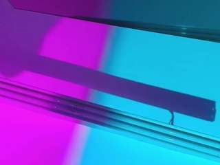 cute-lily