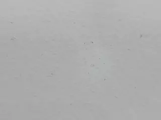EmyBreak's Live Sex Cam Show
