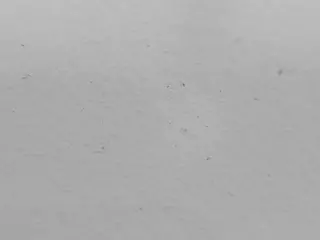 EmyBreak's Live Sex Cam Show