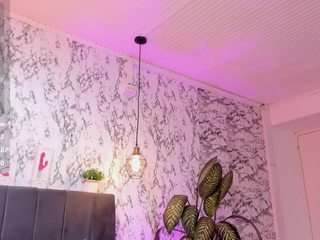 aihnoa-split webcam model