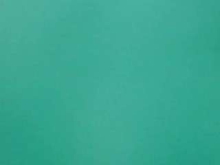 test-model-321 webcam