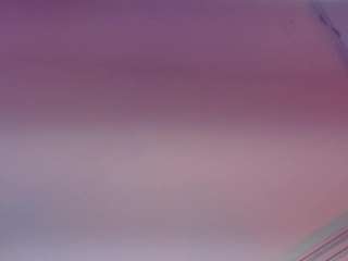 julieta-cortes