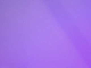habiy069