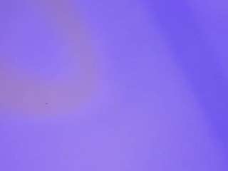 habiy069