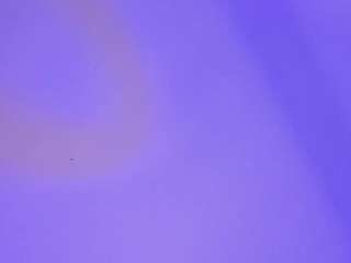 Habiy069