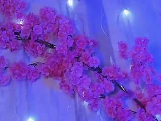 habiy069