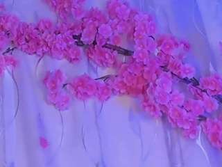 habiy069