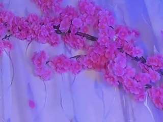 habiy069