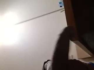 leosjoec webcam model