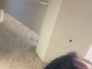 nerdgirl314 webcam model