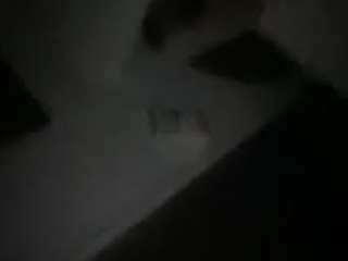 shufflercat