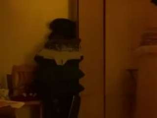 shufflercat