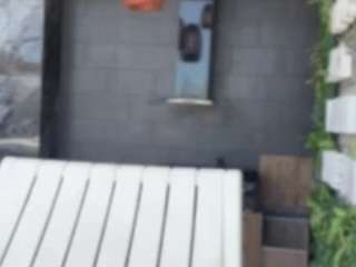 antonellamorelli webcam