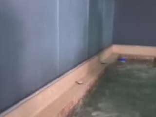 antonellamorelli webcam