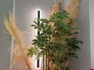 AntonellaMorelli