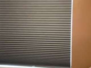 337babineaux Live Webcam on CamSoda