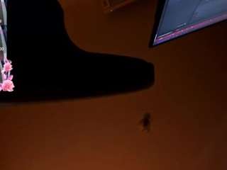 karol-eroticc webcam