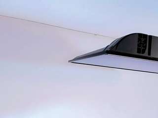 stefany-collins webcam