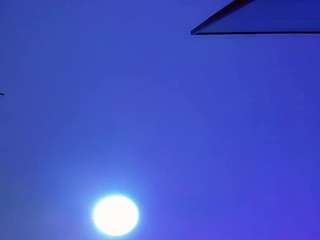 stefany-collins live webcam show