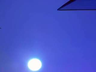 stefany-collins live webcam show