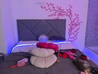 cassieevanss live webcam show