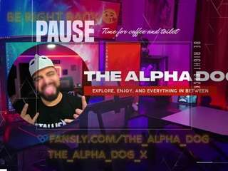thealphadog-xl webcam