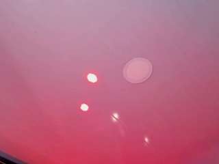 tyannabb1's CamSoda show and profile