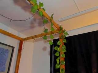 lussyevans live cam preview