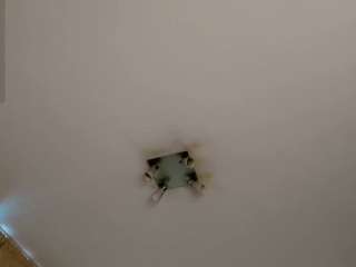 vanessasmuth webcam model