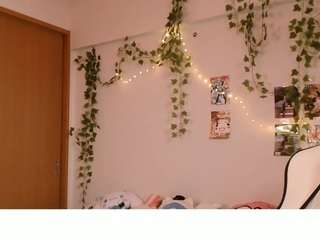 vi-jasen live webcam show