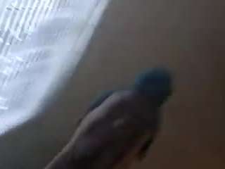 MsfatP