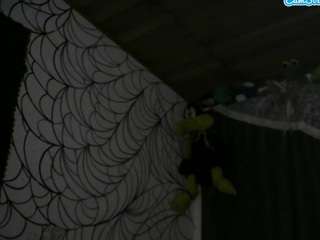vampiroencasa Sex Cam Show