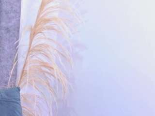 sofyqueen