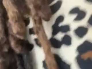 exoticadivine - Cam en Direct