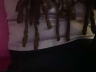 exoticadivine webcam