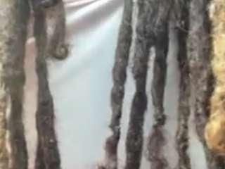 exoticadivine webcam