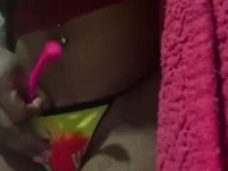 exoticadivine