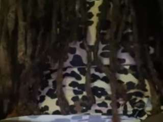 exoticadivine