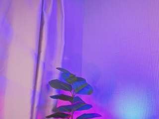 sky-rose