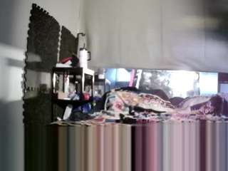 SpunFunVoyeurz