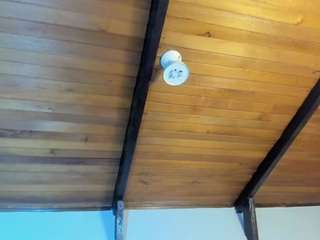 emiliwilliams live cam profile